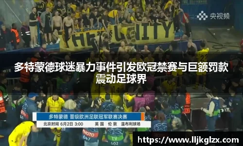多特蒙德球迷暴力事件引发欧冠禁赛与巨额罚款震动足球界